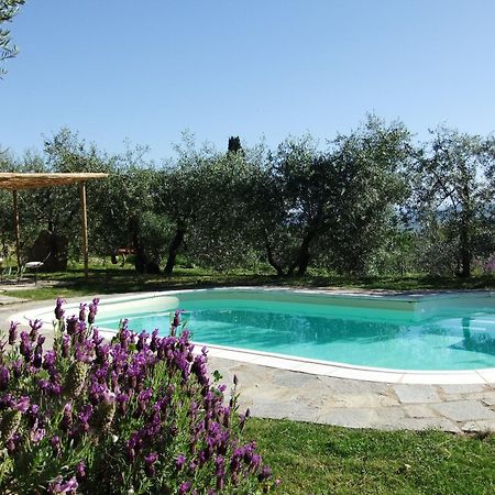 Agriturismo Il Castagnolino Villa San Gimignano Exterior foto